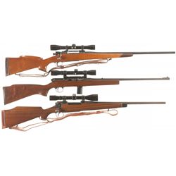 Three Scoped Rifles