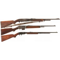 Three Sporting Rifles
