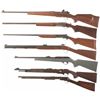 Image 2 : Six Rifles and One Shotgun