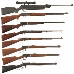 Seven Long Guns and One Pellet Rifle
