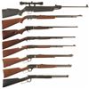 Image 1 : Seven Long Guns and One Pellet Rifle