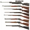 Image 2 : Seven Long Guns and One Pellet Rifle