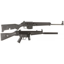 Two Semi-Automatic Longarms