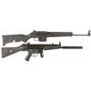 Image 1 : Two Semi-Automatic Longarms