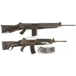 Two Semi-Automatic Rifles