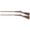 Image 2 : Two Percussion Long Guns