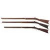 Image 2 : Three Percussion Rifles
