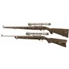 Image 2 : Two Scoped Ruger Semi-Automatic Carbines