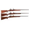 Image 1 : Three Bolt Action Rifles