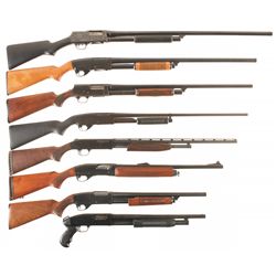 Eight American Shotguns