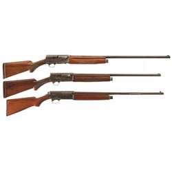 Three Semi-Automatic Shotguns