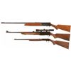 Image 2 : Three Semi-Automatic Long Guns