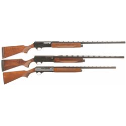 Three Semi-Automatic Shotguns