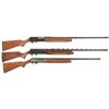 Image 1 : Three Semi-Automatic Shotguns