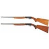 Image 2 : Collector's Lot of Two Belgian Browning .22 Semi-Automatic Rifles