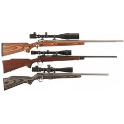 Three Scoped Bolt Action Rifles