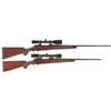Image 1 : Two Scoped Winchester Model 70 Bolt Action Rifles