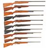 Image 1 : Ten Bolt Action Shotguns