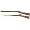Image 2 : Two Rifles