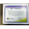 Image 1 : Tennis Lesson Certificate