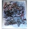 Image 2 : VINTAGE 1968 DALI LITHOGRAPH