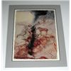 Image 1 : SALVADOR DALI BIBLE LITHOGRAPH