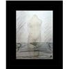 Image 1 : Rodin Erotic Sketch Lithograph