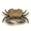 Image 1 : CRAB DOORKNOCKER