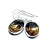 Image 1 : Mystic Topaz Earrings