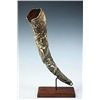Image 2 : 18th c. European Hand Carved Hunting Horn
