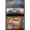 Image 2 : Tony Stewart Nascar Racing Cards (4 different)