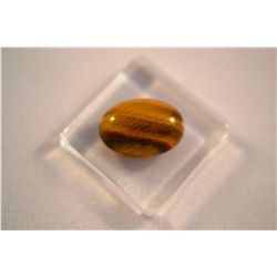 Beautiful Tiger Eye Gemstone  5.30ct  Oval Cabochon Cut  14 x 10.5mm