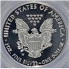 Image 3 : 2010-W ASE ANACS PROOF 70 U.C., HOLDER HAS SCRATCH