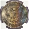 Image 3 : 1884-O MORGAN DOLLAR NGC BU "OLATHE HOARD"