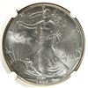 Image 2 : 1995 SILVER AMERICAN EAGLE NGC MS65