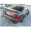 Image 4 : 2003 - FORD MUSTANG