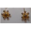 Image 1 : Earring of Diamond 0.40 Ctw in 2.69g 18kt Yellow Gold