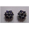 Image 1 : 2.640g Earring of Sapphire in Silver