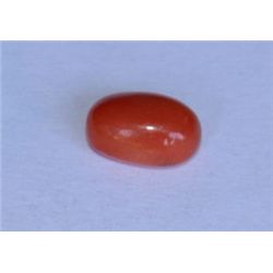 Red Coral 2.25 CTW Loose Gemstone