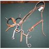 Image 1 : Seminole Bit & Leather, Spurs w/Leather Straps