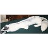 Image 1 : Arctic Fox Hide