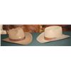 Image 1 : 2 Cowboy Hats (Stetsons)