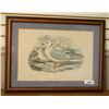 Image 1 : John Gould Seagulls Print