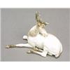 Image 1 : A Meissen model of a recumbent stag, head turned licking its back, sparsely coloured in shades of...