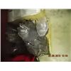 Image 1 : BOX DESIGNOR SHELL DISHES - CLEAR