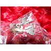 Image 1 : BAG OF ASSORTED SKELETON KEYS