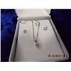 Image 1 : NECKLACE & EARINGS - 17" CHAIN - 925 SILVER - CUBIC ZERCONIA