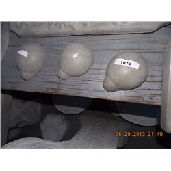 CONCRETE - LADY BUGS - 3PC