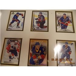 MATE FRAMED HOCKEY CARDS - BRETE HULL