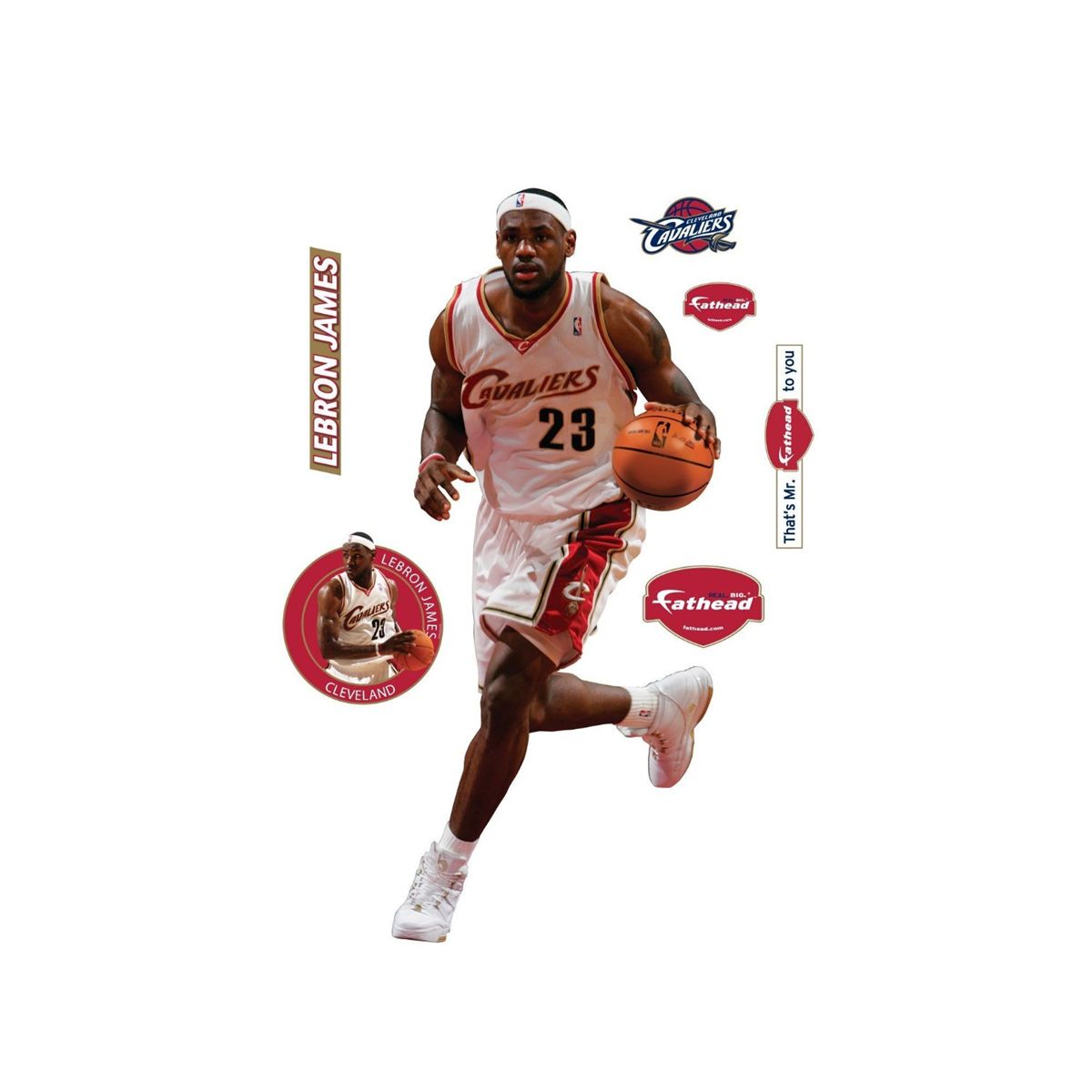 lebron james fathead